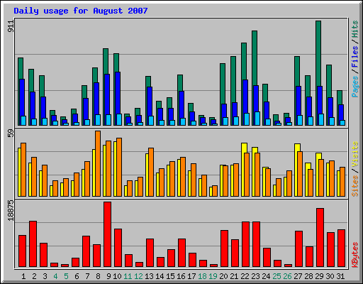 Daily usage for August 2007