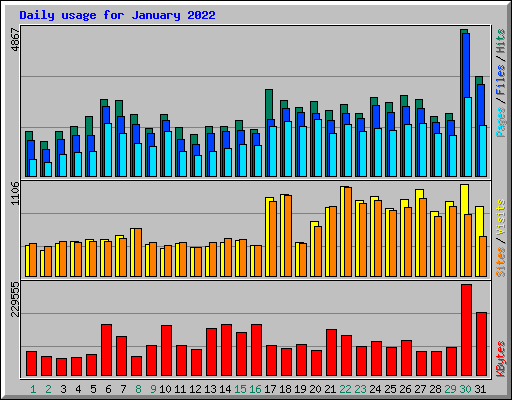 Daily usage for January 2022