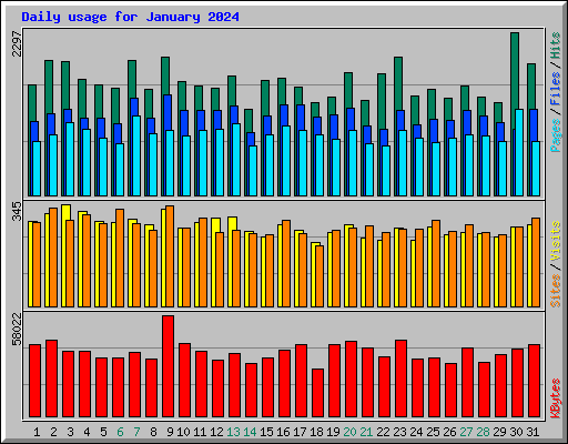 Daily usage for January 2024