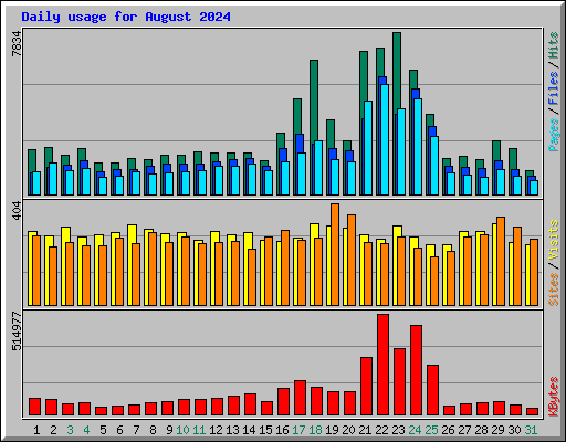 Daily usage for August 2024