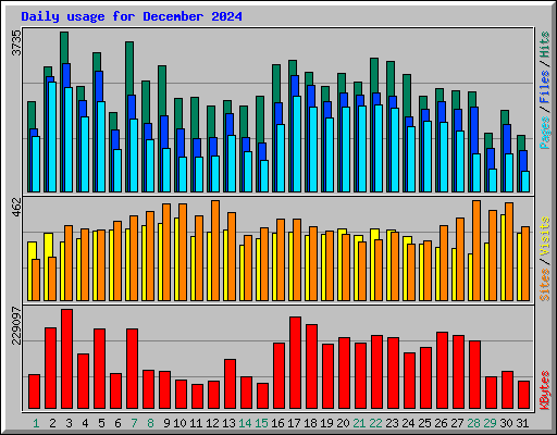 Daily usage for December 2024