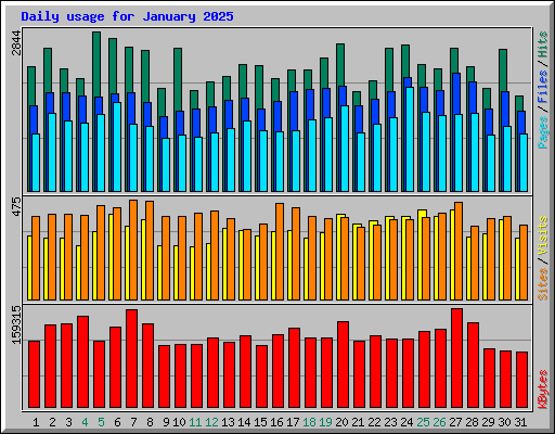 Daily usage for January 2025