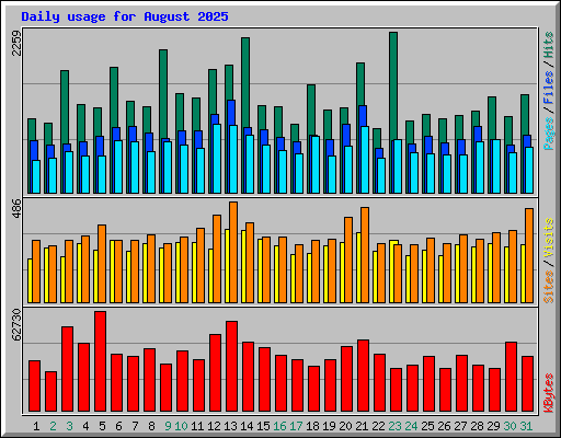 Daily usage for August 2025