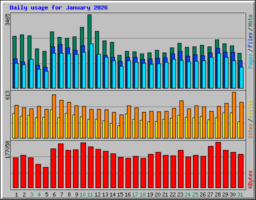 Daily usage for January 2026