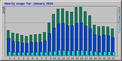 Hourly usage for January 2016