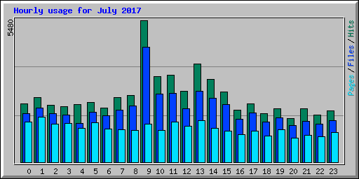 Hourly usage for July 2017
