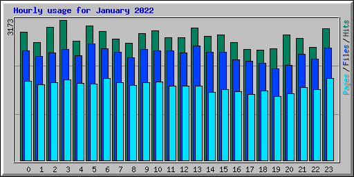 Hourly usage for January 2022