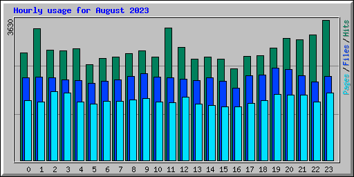 Hourly usage for August 2023