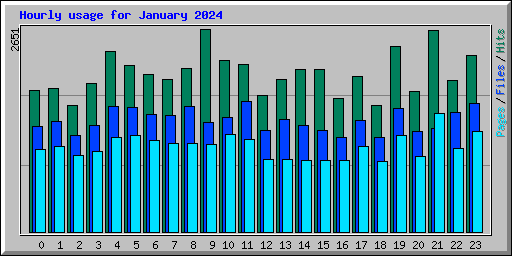 Hourly usage for January 2024