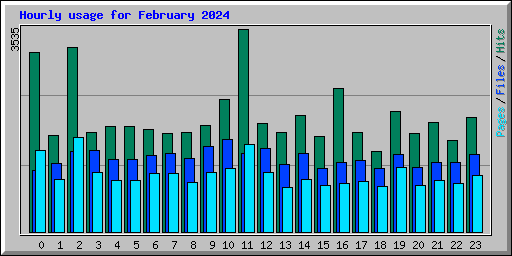 Hourly usage for February 2024