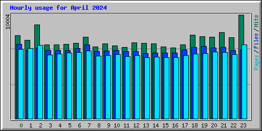 Hourly usage for April 2024