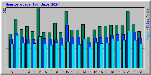Hourly usage for July 2024