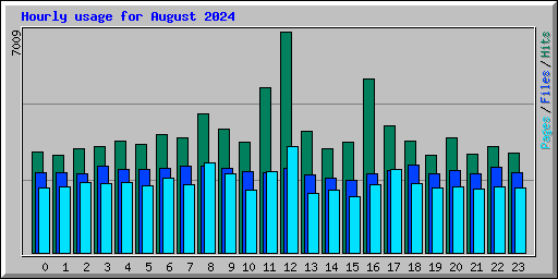 Hourly usage for August 2024