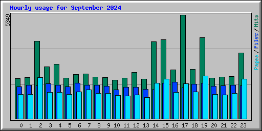 Hourly usage for September 2024