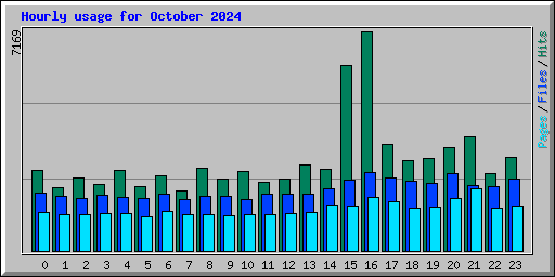 Hourly usage for October 2024