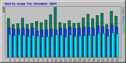 Hourly usage for December 2024