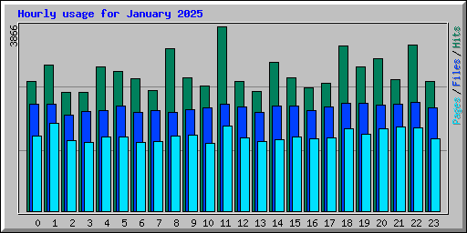 Hourly usage for January 2025
