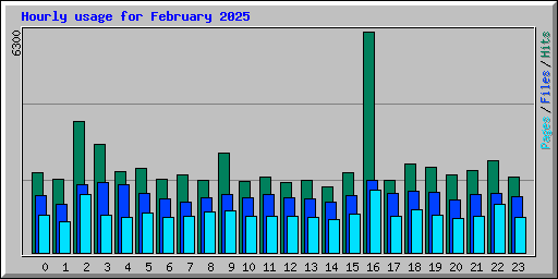 Hourly usage for February 2025