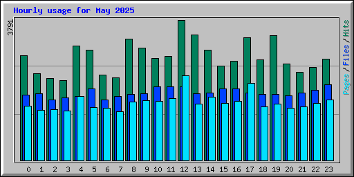 Hourly usage for May 2025