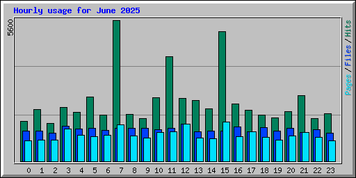 Hourly usage for June 2025
