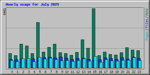 Hourly usage for July 2025