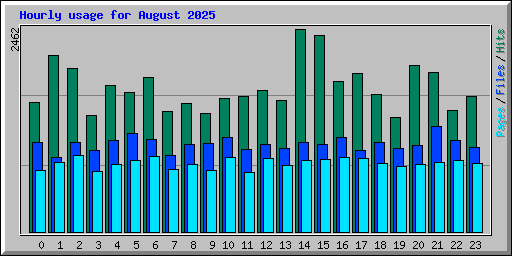 Hourly usage for August 2025