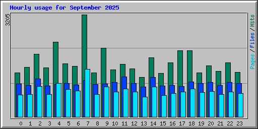 Hourly usage for September 2025