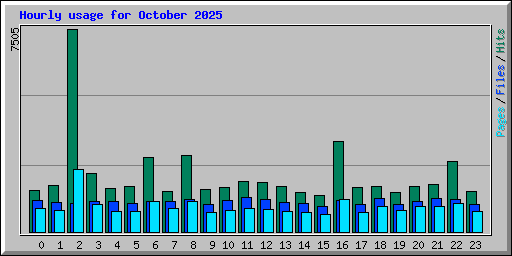 Hourly usage for October 2025