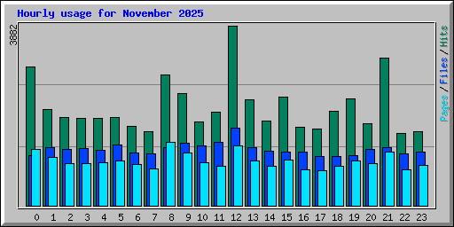 Hourly usage for November 2025