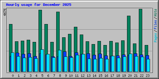 Hourly usage for December 2025