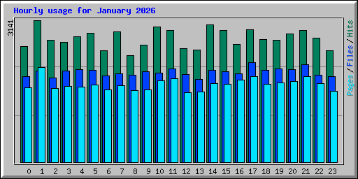 Hourly usage for January 2026